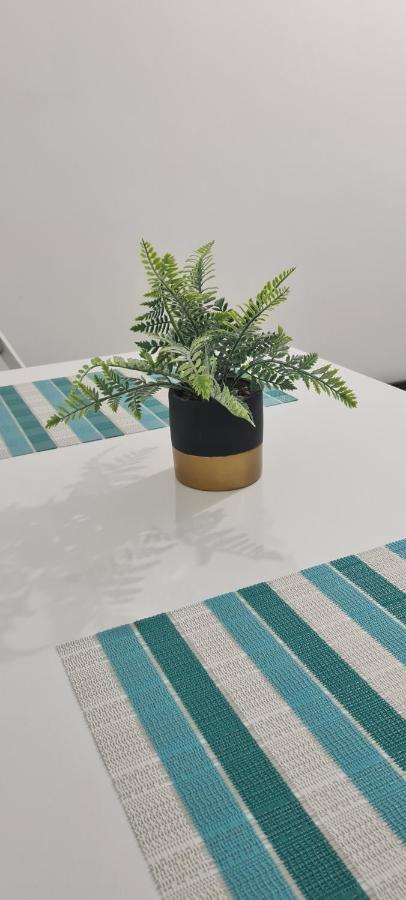 Seby Studio 康斯坦察 外观 照片