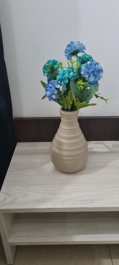 Seby Studio 康斯坦察 外观 照片